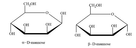 Mannose Structure