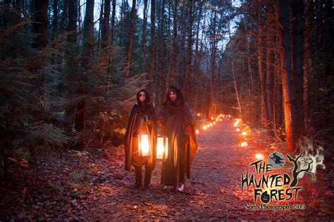 The Haunted Forest | Williston Vermont | Halloween destinations ...