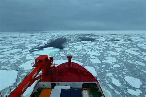 Extent of Antarctic sea ice hits record low: study | SootinClaimon.Com