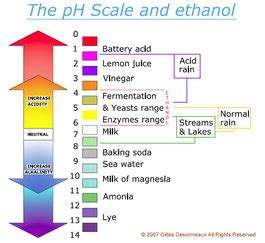 pH Scale - THe base is under a salt