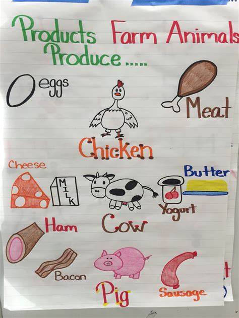 Farm Animals And Their Products Chart