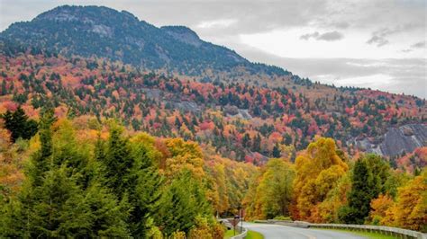 10 best fall foliage train rides in the U.S. for 2024 - FamilyVacationist