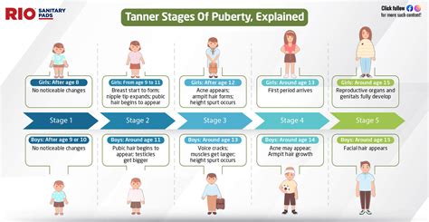 Stages of Puberty: Tanner Stages of Puberty in Females & Males | RIO Pads