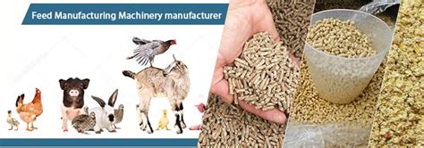 Technical Guidance on Poultry and Livestock Feed Pellet Mills