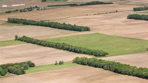 Trees on the Great Plains: Shelterbelts and the Forest Service | The Smokey Wire : National ...