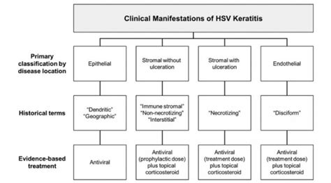 How to Deal with the Epithelial Herpetic Keratitis | OBN