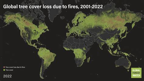 Wildfires from attribution to solutions: tools and resources - Foresight