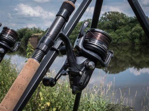 Barbel Fishing: FD’s Ultimate Guide to Rigs, Tactics, Baits & Gear