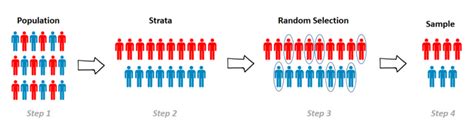 What is Stratified Sampling: Definition and Use - Uedufy