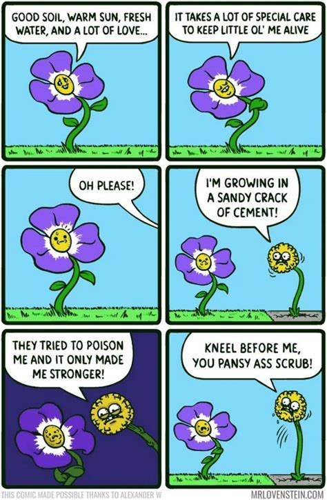 41 Delightful Flower Memes Blooming with Laughter