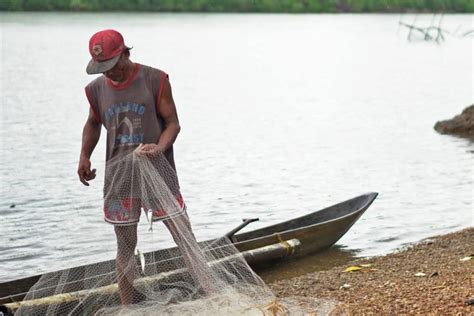 Healthy mangroves build a resilient community in the Philippines’ Palawan