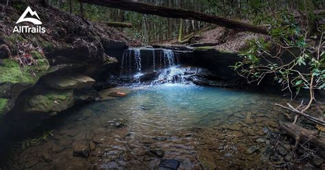 10 Best hard trails in Daniel Boone National Forest | AllTrails