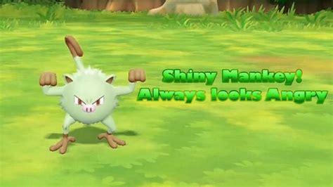 How to catch shiny Mankey in Pokemon GO