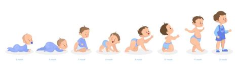 Baby Growth Process Newborn Preschool Child | Physical development in children, Physical ...