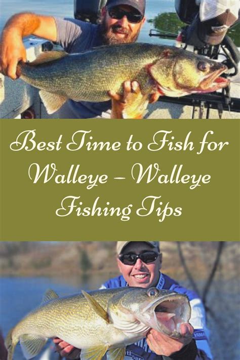 Best Time to Fish for Walleye – Walleye Fishing Tips | Walleye fishing tips, Walleye fishing ...