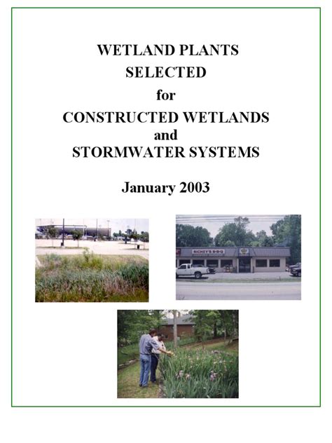 (PDF) Wetland Plants Selected for Constructed Wetlands and Stormwater ...