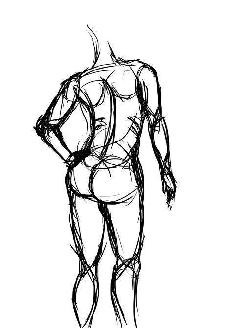Anatomical Drawing Of Human Body / Figure Drawing - Proportion and Basic Form / It is the most ...