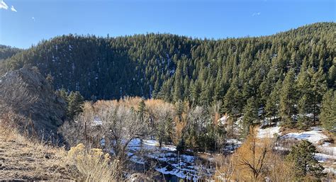 Hiking Trails in Colorado | Evergreen Lake Trail