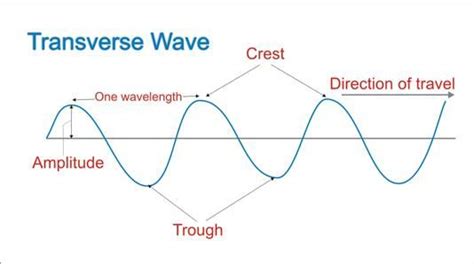 Transverse Waves, Examples of Transverse Waves | Ph*****@***** | Wave ...