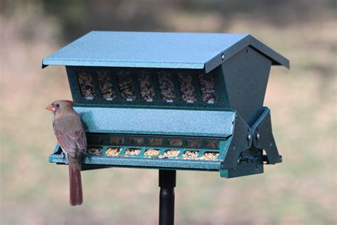 Woodlink Absolute II Squirrel Resistant Bird Feeder Model 7536 | eBay