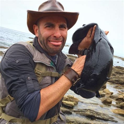 Discovery Channel host finds massive black slug as big as a small dog lurking the tide pools at ...