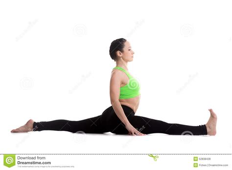 Monkey yoga pose stock photo. Image of balance, monkey - 52838428