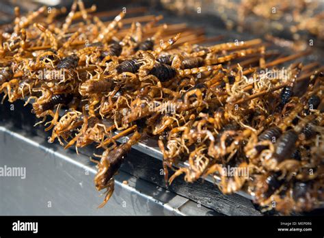 Fried scorpions hi-res stock photography and images - Alamy