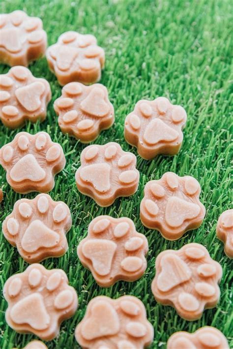 Easy Salmon Dog Treats Recipe | Bone Appetreat