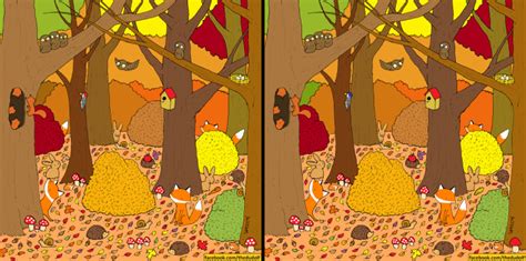 Spot-the-Difference Pictures: Autumn Forest Edition | Mental Floss