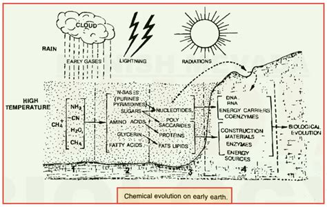 Modern Theory or Oparin - Haldane Theory of Origin of Life - Chemical Evolution (Chemogeny)