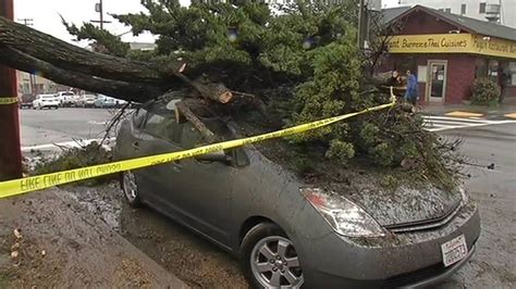 San Francisco storm's strong winds toppled trees, prompts high surf ...