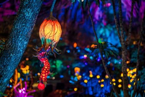 Ultimate Guide to Pandora - World of Avatar - Disney Tourist Blog