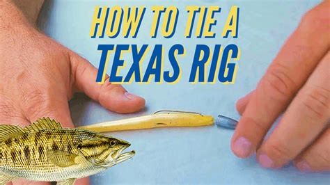 Texas Rig: How to Tie a Texas Rig for Bass Fishing - Cast & Spear