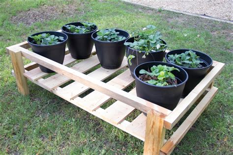 How to build a 5 gallon bucket garden stand - Builders Villa
