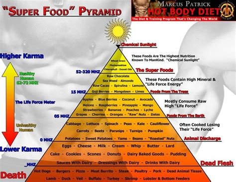 highest and lowest vibrational foods | Food pyramid, Vegetarian food ...