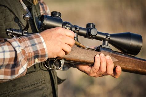 4 Best Bolt Action Hunting Rifles for Beginners