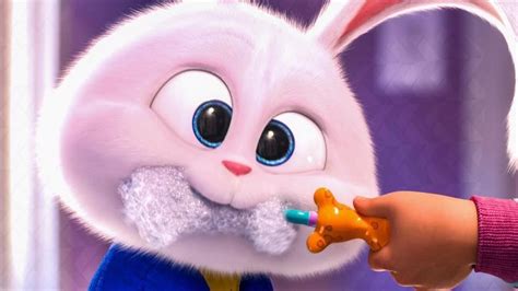 Pin by Sofia Jimz on Cute | Cute bunny cartoon, Cute disney wallpaper, Secret life of pets