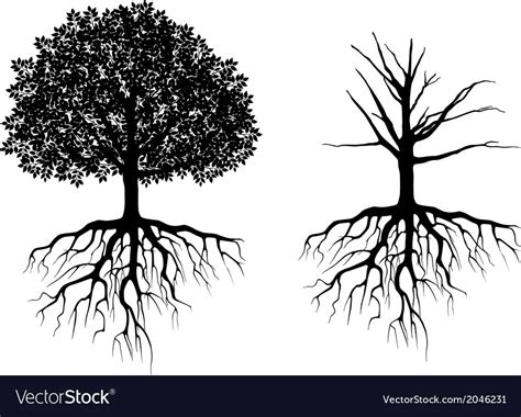 Tree Roots Vector at Vectorified.com | Collection of Tree Roots Vector free for personal use