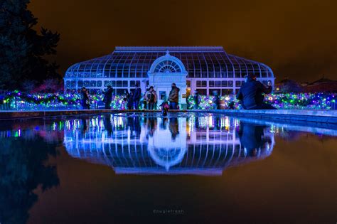 Toledo Zoo ‘Lights Before Christmas’ | Sigma 16mm f1.4 : a6000