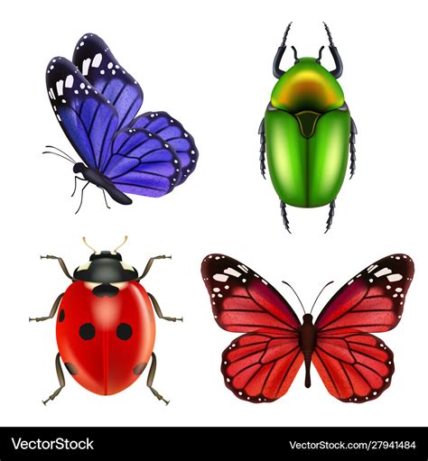 Realistic insects butterfly bugs ladybird ant Vector Image