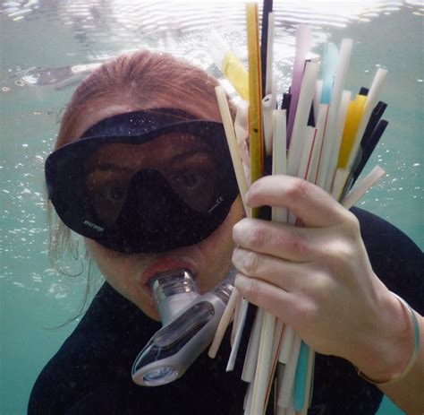 Plastic pollution: why straws seriously suck