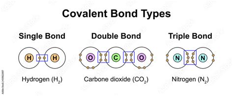 Scientific Designing Of Covalent Bond Types. Single, Double And Triple Bonds Types. Colorful ...