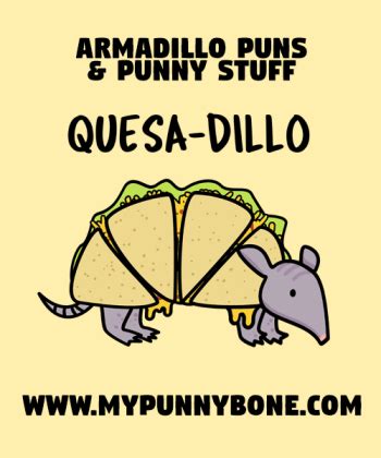 15+ Armadillo Puns And Jokes That Arma Cute And Funny - MyPunnyBone