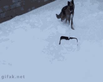 Snow Shoveling Shoveling Snow GIF - Snow Shoveling Shoveling Snow Snow Shoven - Discover & Share ...