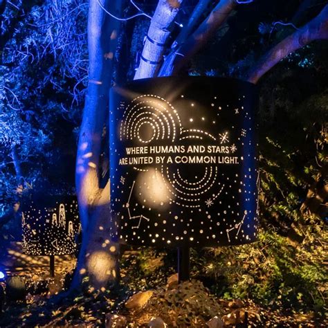 Astra Lumina Seattle: An Immersive Nightwalk Experience