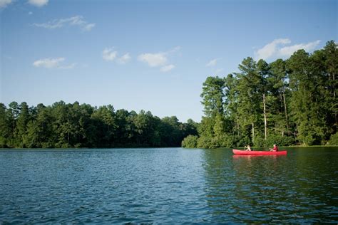 Day use of Alabama State Parks is soaring in 2020. Here’s why our state parks matter. | Bham Now