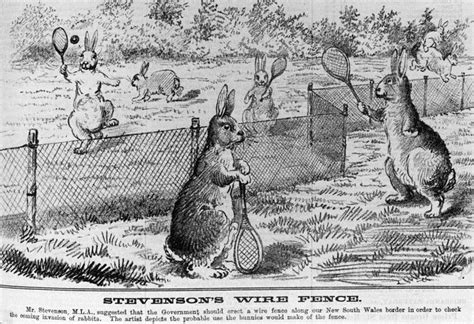 The Rabbit Proof Fence of Australia | Amusing Planet