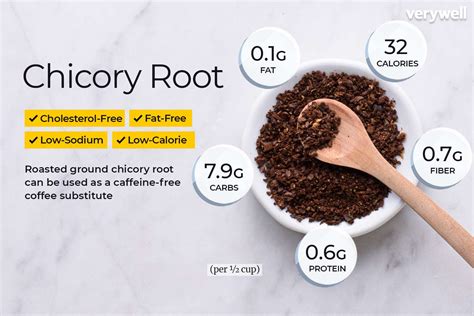 Chicory Root Nutrition & Health Benefits