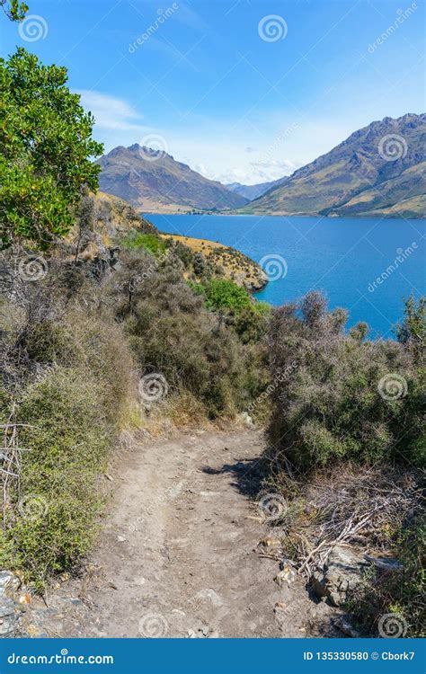 Hiking Jacks Point Track with View of Lake Wakatipu, Queenstown, New Zealand 67 Stock Photo ...