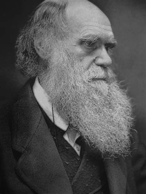 Charles Darwin birthday | Science Buzz